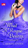 What a Rogue Desires cover