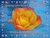 Raining Love Book 1 Love Blossoms by Christine Barber