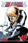 Bleach, Volume 49 cover