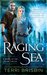 Raging Sea (Stone Circles, #2) by Terri Brisbin