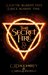 The Secret Fire (The Alchemist Chronicles, #1) by C.J. Daugherty