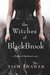 The Witches of BlackBrook (Witches of BlackBrook #1) by Tish Thawer