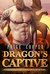 Dragon's Captive (Dragon Shifters, #1) by Paige Cooper