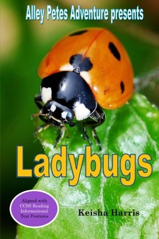 ladybugs