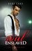 Soul Enslaved (Sons of Wrath, #3) by Keri Lake