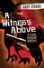 A Witness Above A Frank Pavlicek Mystery by Andy Straka