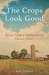 The Crops Look Good News from a Midwestern Family Farm by Sara DeLuca