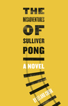 The Misadventures of Sulliver Pong
