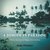 A DIMDIM IN PARADISE THIRTY SIX YEARS IN PAPUA NEW GUINEA by Andy Fletcher
