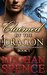 Claimed by the Dragon, Book 1 A BBW paranormal shape shifter romance by Meghan Spence