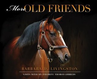 more-old-friends-visits-with-my-favorite-thoroughbreds