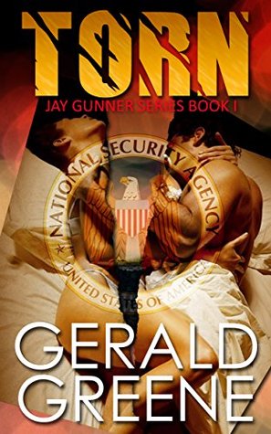 torn-young-adult-and-contemporary-adult-romance-jay-gunner-series-book-1