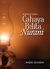 Cahaya Pelita Nurani by Nazri Hussein
