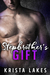 Stepbrother's Gift by Krista Lakes