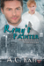 Remy’s Painter (Werewolves of Manhattan, #2) by A.C. Katt