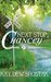 Next Stop, Chancey (Chancey #1) by Kay Dew Shostak