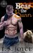 Bear the Burn (Fire Bears, #2) by T.S. Joyce