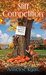 Stiff Competition (Mattie Winston Mysteries #7) by Annelise Ryan