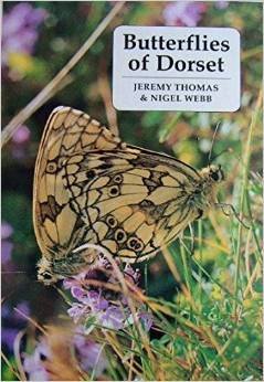 butterflies-of-dorset