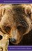 Bunny and the Grizzly Bear (United Shifter's Alliance Book 1) by Regina Shiderly
