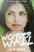 Wonderwall (Love Me, I'm Famous, #1) by M.H. Soars