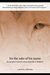 For the Sake of His Name: the prophet Daniel's miraculous life in Babylon (Three Prophets, 3