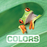 Colors cover