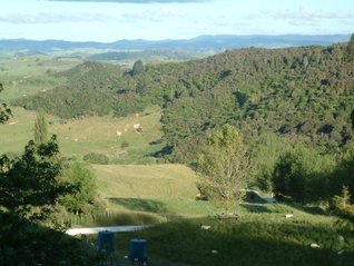 waitomo-caves-wonderland-or-weirdoland