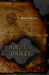 Split the Party (Spells, Swords, & Stealth, #2) by Drew Hayes