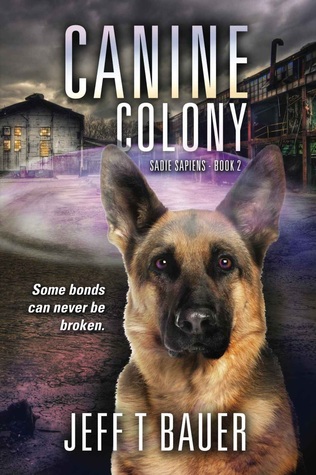 canine-colony