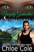 Naughty Godmother (Montana Fairies, #1) by Chloe Cole