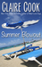 Summer Blowout by Claire Cook