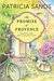 The Promise of Provence (Love in Provence, #1) by Patricia Sands