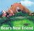 Bear's New Friend by Karma Wilson