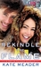 Rekindle the Flame (Hot in Chicago, #0.5) by Kate Meader