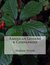 American Ginseng & Companions (Into the Ginseng Wood Book 4) by Madison Woods