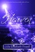 Heaven A Post-Apocalyptic Fantasy by Julie Elizabeth Powell