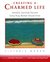 Creating a Charmed Life: Sensible, Spiritual Secrets Every Busy Woman Should Know