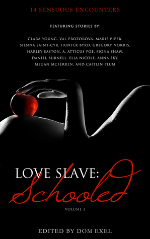 love-slave-schooled