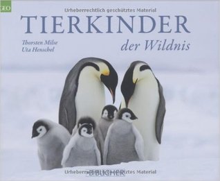 tierkinder-der-wildnis