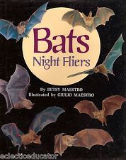 night fliers