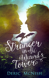 Stranger in the Wizard's Tower