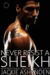 Never Resist a Sheikh (International Bad Boys #10) by Jackie Ashenden
