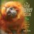 The Great Monkey Rescue Saving the Golden Lion Tamarins by Sandra Markle