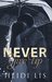 Never Give Up by Heidi Lis
