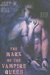 The Mark of the Vampire Queen (Vampire Queen, #2)