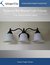 Replacing Wall Mounted Light Fixtures 6 Easy Steps to a Beautiful Lighting (Home Project Series Book 1) by Mike Kellington
