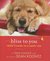 Bliss to You Trixie's Guide to a Happy Life by Trixie Koontz