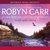 Wild Man Creek (Virgin River, #12) by Robyn Carr