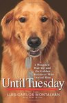 Until Tuesday by Luis Carlos Montalván